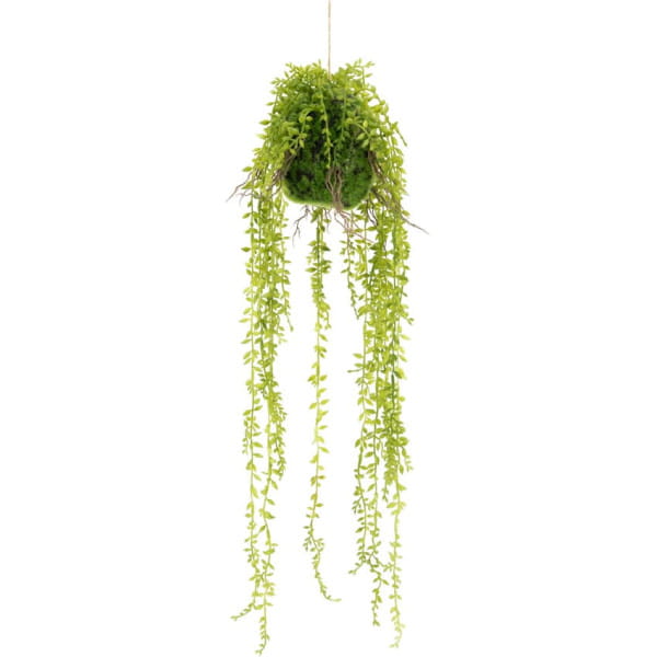 Kunstpflanze Hanging ficus