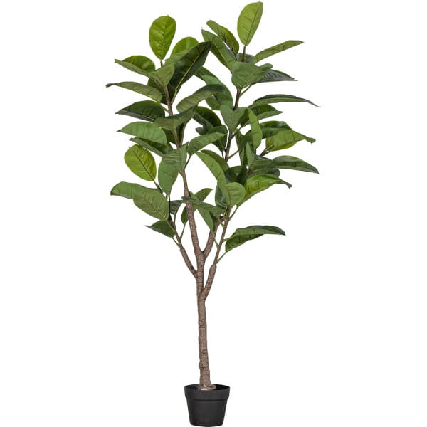 Kunstpflanze Rubberboom grün 135