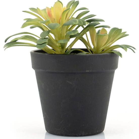 Kunstpflanze Succulent 1