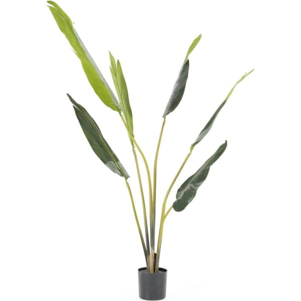 Kunstpflanze Strelitzia small