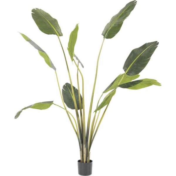 Kunstpflanze Strelitzia 180