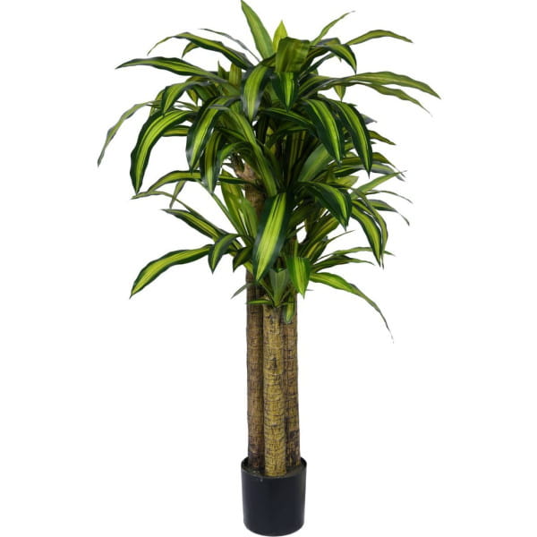 Deko Pflanze Dracaena grün 150