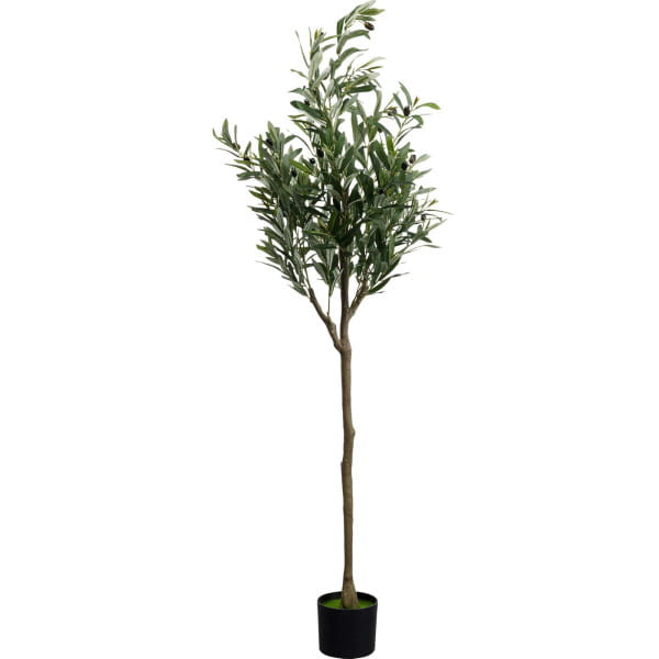 Deko Pflanze Olive Tree 150
