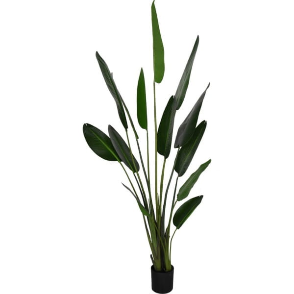 Deko Pflanze Strelitzia grün 235