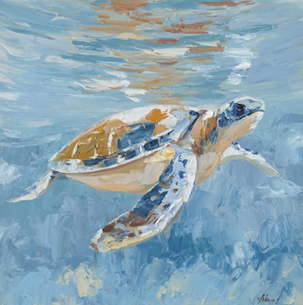 Wandbild Schildkröte 80x80