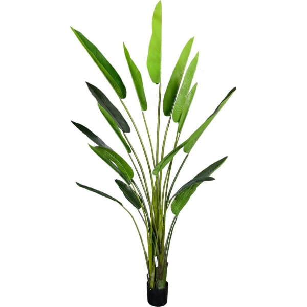 Deko Pflanze Strelitzia grün 310