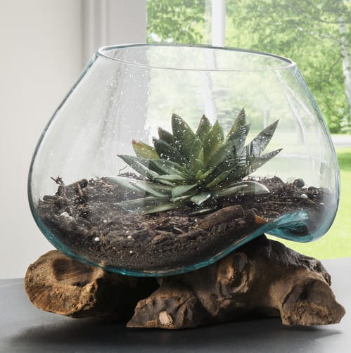 Deko-Wurzel mit Glas Vase 20cm