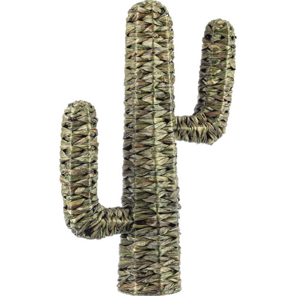 Kaktus Saguaro grün