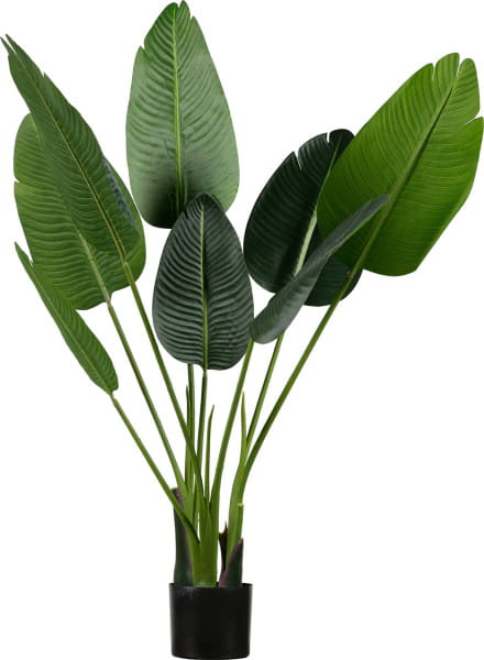 Deko Pflanze Strelitzia 108cm