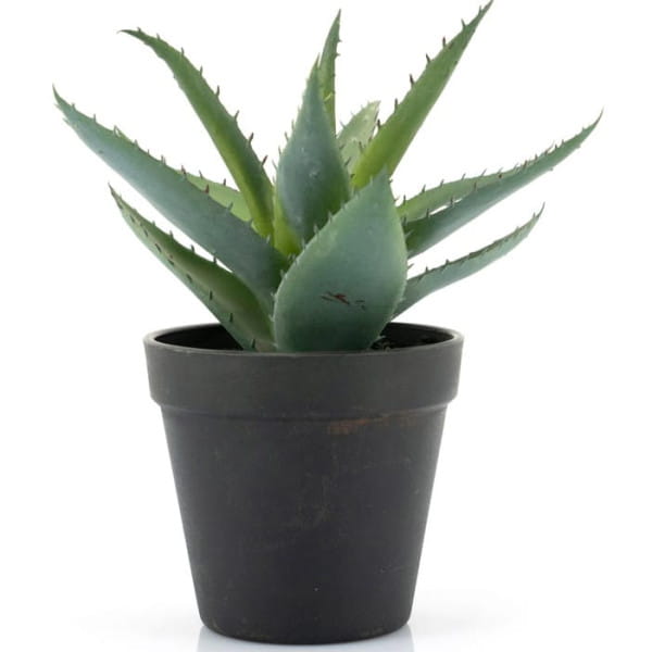 Kunstpflanze Agave small