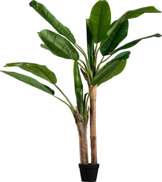 Deko Pflanze Bananenstaude 138cm