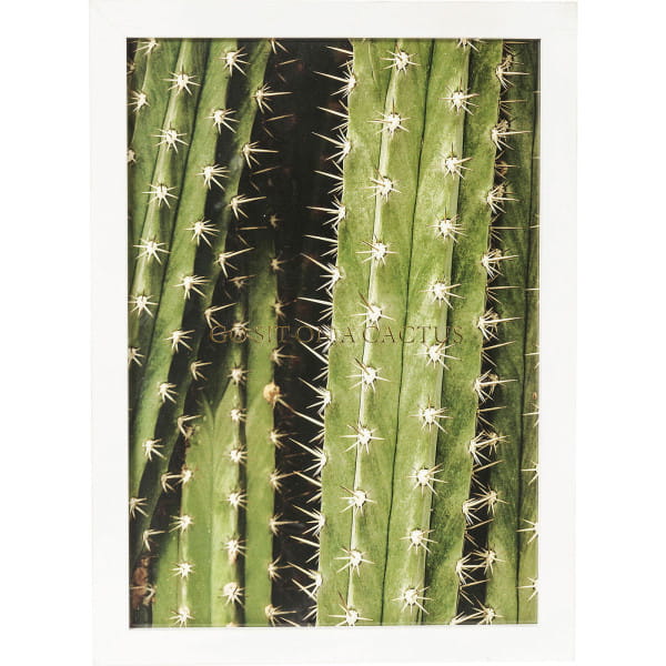 Bild Frame Kaktus 45x33cm