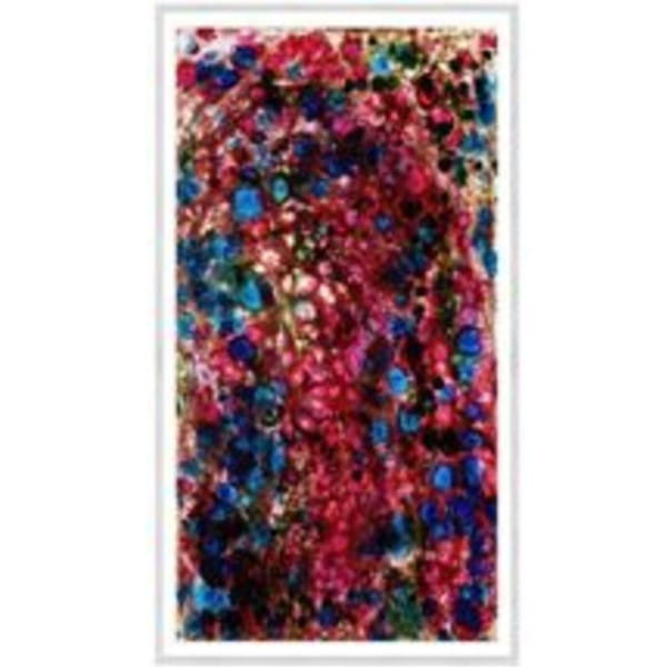 Gerahmtes Bild Wild Berries 205x125