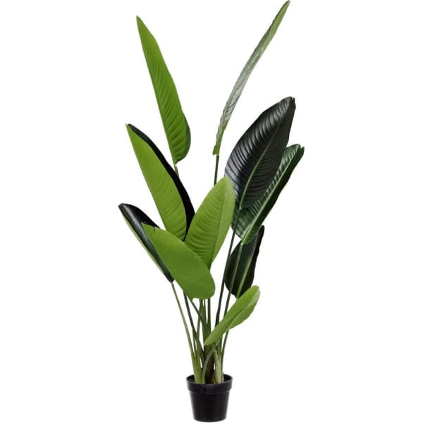 Deko Pflanze Strelitzia grün 150