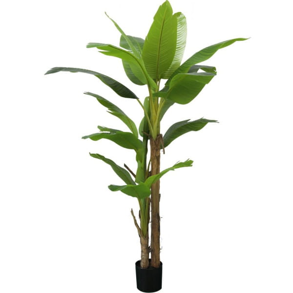 Deko Pflanze Banane grün 200