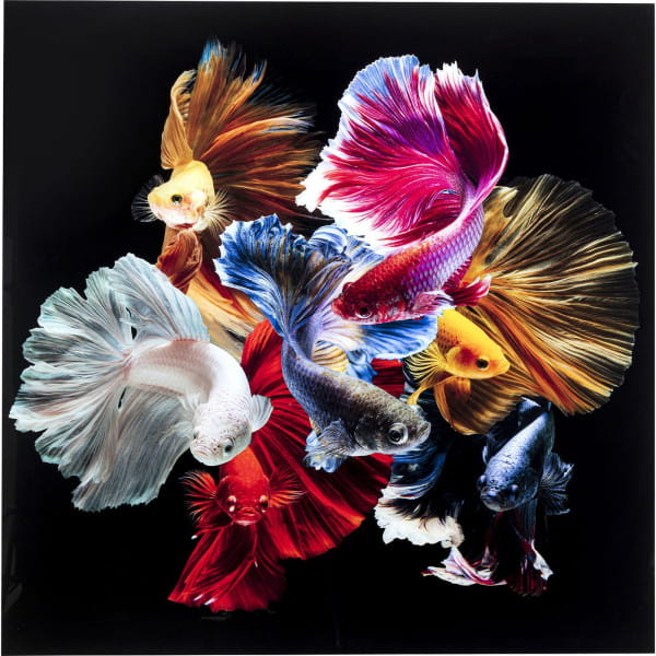 Glasbild Colorful Swarm Fish 120x120