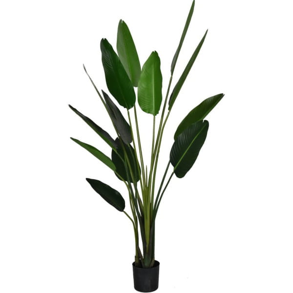 Deko Pflanze Strelitzia grün 185